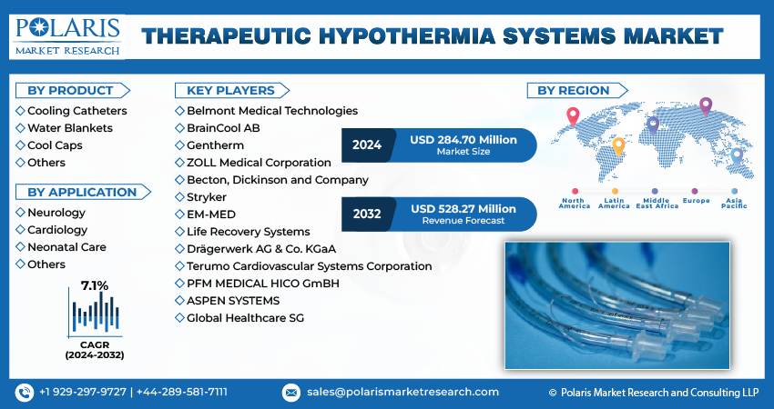 Therapeutic Hypothermia System